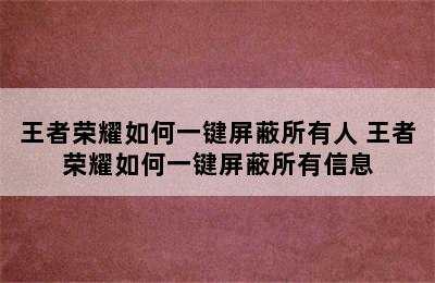 王者荣耀如何一键屏蔽所有人 王者荣耀如何一键屏蔽所有信息